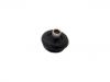 Strut Mount:48750-02020