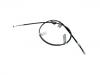 Brake Cable:47560-TM8-G01
