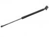 Gas Spring:68960-0WB20