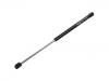 Gasdruckfeder Gas Spring:191 827 550 B