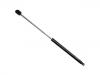 Gasdruckfeder Gas Spring:251 829 331 A