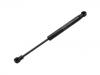 Gasdruckfeder Gas Spring:9154605