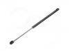 Gasdruckfeder Gas Spring:132 703