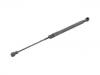 Gasdruckfeder Gas Spring:11300 0 013