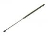 Gasdruckfeder Gas Spring:8731.93