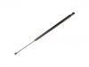 Gasdruckfeder Gas Spring:8731.G5