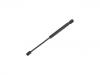 Gasdruckfeder Gas Spring:8731.K4