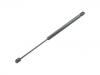 Gasdruckfeder Gas Spring:8N8 827 552 B