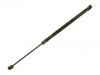 Gasdruckfeder Gas Spring:1U6 827 550 F