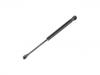 Gasdruckfeder Gas Spring:606 800 87