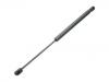 Gasdruckfeder Gas Spring:51716995